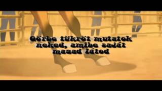 Majka Curtis BLR-Belehalok/Szilaj