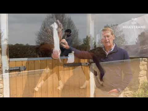 Emile Faurie joins Team Helgstrand