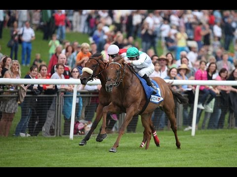 Hannover: Großer Preis der VGH (Gruppe 2) - Sieger: Red Dubawi