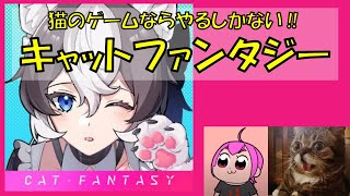 猫娘冒険RPG『キャットファンタジー』やる｜#キャットファンタジー #猫