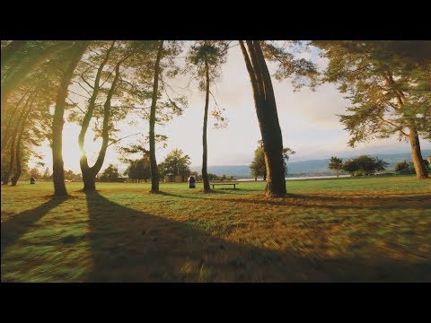 BLACK BIRD FPV - That Astro X5 Johnny FPV Edition