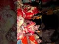Sachi Kahe To Hamari Angana Mein I Bahar Bhauji Shorts ️ ️ ️ ️