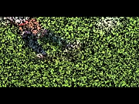 sc gastel op zijn best