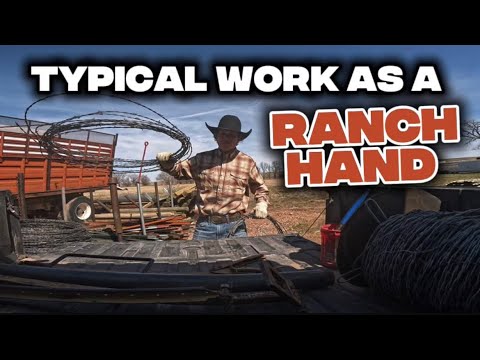 Ein ganzer Arbeitstag auf der Ranch