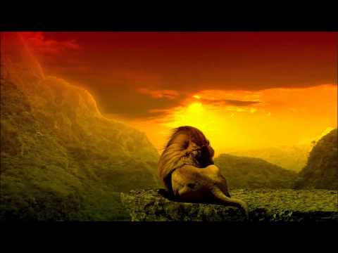 Katchafire - One stop shop