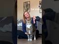 Show Me Your Butt Cat Trick
