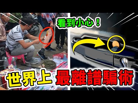 政治指南針