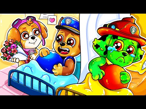 MARSHALL Turns Into PREGNANT Zombie? ???? - Very Funny Story - Paw Patrol Ultimate Rescue - Rainbow 3