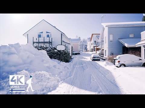 3 Hours of Beautiful Snow Walks in Finland - Slow TV 4K
