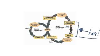 Fungi Reproduction (worked example)