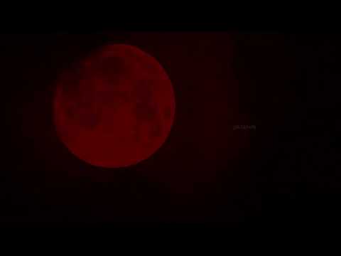 The Silence of Madness