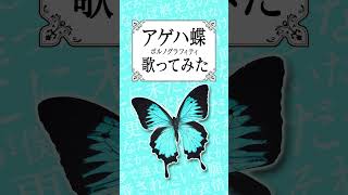 【懐メロ】『アゲハ蝶 / ポルノグラフィティ』歌ってみた【recog】#shorts