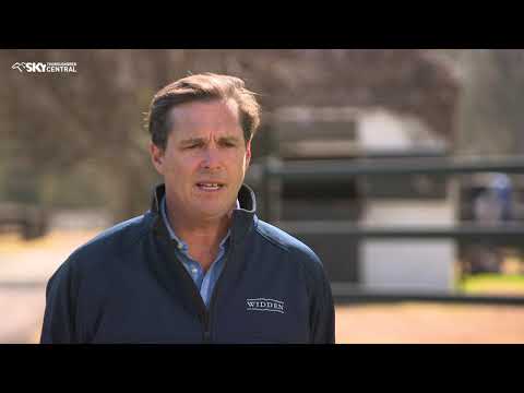 BRED TO WIN TRAPEZE ARTIST WIDDEN STUD AUGUST 2019