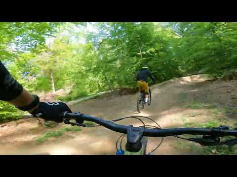 Flowtrail Stromberg 2025 " Neue Sharkfin " Wildhog 4K