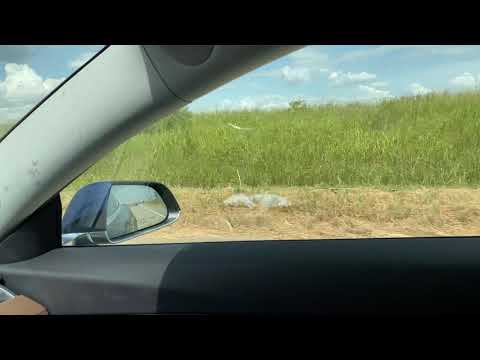 Tesla Gigafactory Austin - July 24 2020