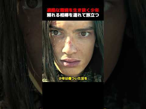原始部族の少年は野生のオオカミと支え合い、故郷を目指す！