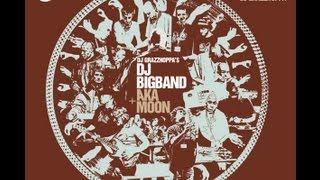 Dj Grazzhoppa's Dj Bigband + Aka Moon - Live @ K.V.S. Brussels