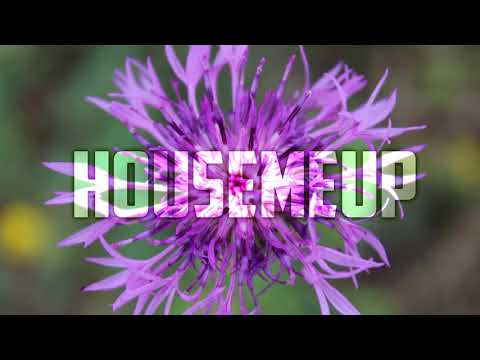 Laroz Camel Rider - Mad Dog (Original Mix)