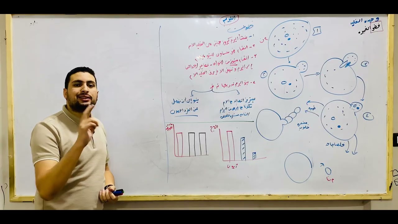 شرح التبرعم والتكاثر بالجراثيم والتجدد احياء تالته ثانوي