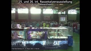 preview picture of video '25. und 26. internationale Rassekatzenausstellung des Cat Club Germany'