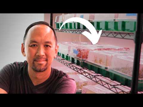 How to start an emersed aquatic plant farm | 9 month update