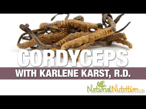 Cordyceps Mushroom Powder