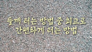 #들깨테는방법 #들깨 테는 방법 중 최고로 간편하게 테는 방법