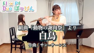 Download lagu 【Flute&Piano】組曲『動物の謝肉祭』より白鳥/サン=サーンス Le carnaval des animaux 'Le cygne'/Saint-Saëns mp3