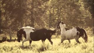 Buddy Miller &amp; Julie Miller - God&#39;s Wing&#39;ed Horse