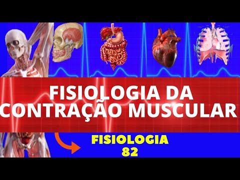 MUSCLE CONTRACTION (GUYTON'S PHYSIOLOGY) - PHYSIOLOGY OF MUSCLE CONTRACTION - SKELETAL MUSCLE