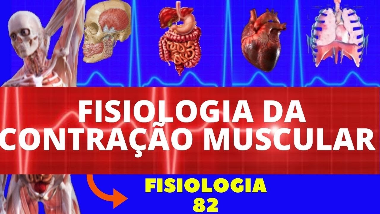 CONTRAÇÃO MUSCULAR (FISIOLOGIA DE GUYTON) - FISIOLOGIA DA CONTRAÇÃO MUSCULAR - MÚSCULO ESQUELÉTICO