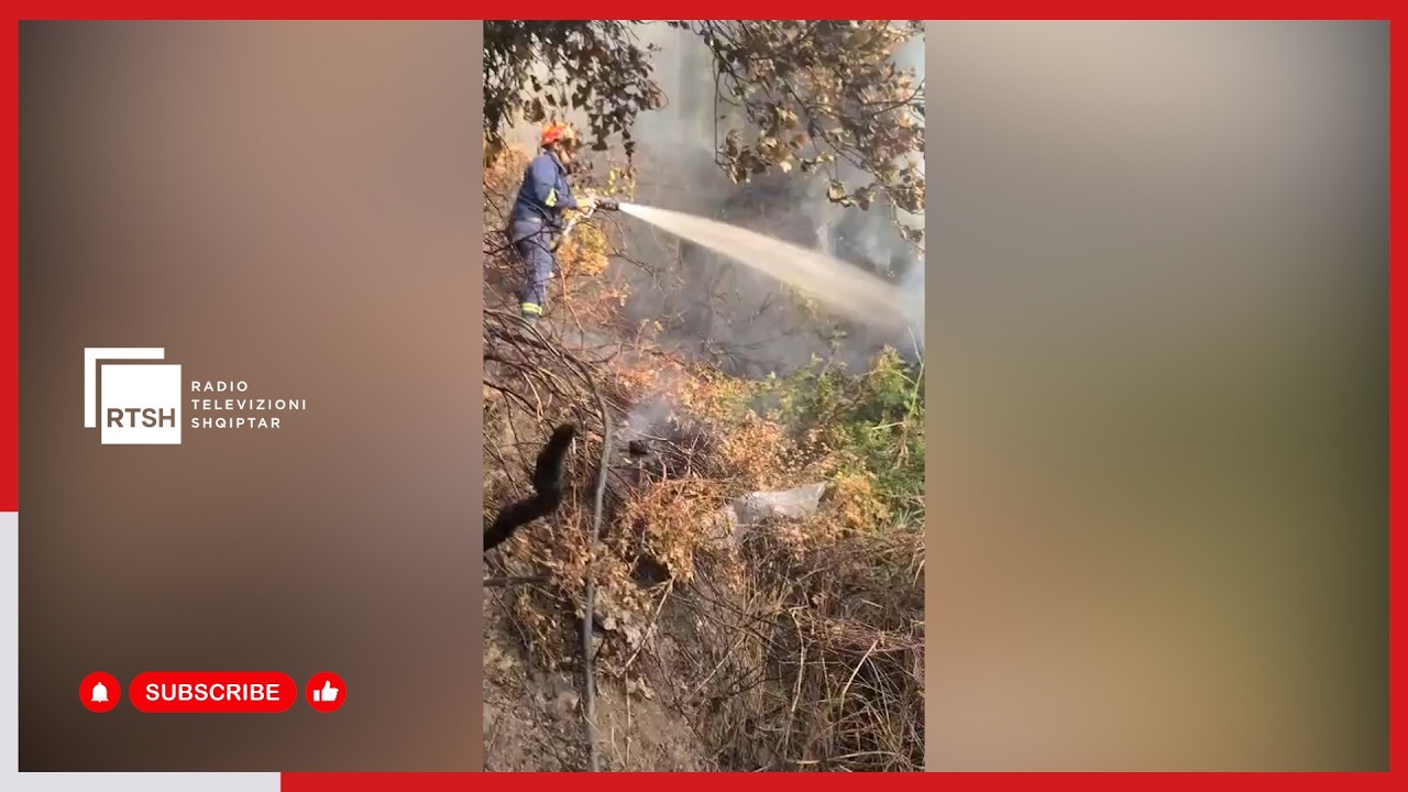 Vihet në kontroll zjarri pranë një hoteli në Vlorë