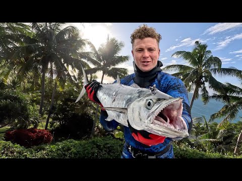 Spearfishing FIJI Tropical Islands (Spanish Mackerel)