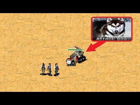 3 Tanya vs Dogs Flak Track - Red Alert 2