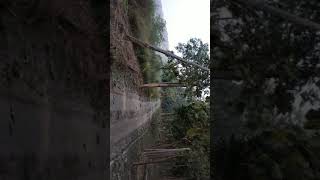 preview picture of video 'Kisanpuri jungle safari ,dudwa national park ,(Bheera,paliakheri,up,India)'