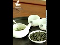 Ginseng Oolong Tea - COLORFULTEA