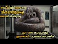 ഒരു സ്കൂൾമുഴുവനും വിഷപ്പാമ്പുകളെ കൊ�