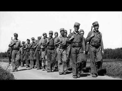 Nonne Hall - I gevär