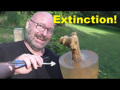 The Anti Velociraptor Crossbow!