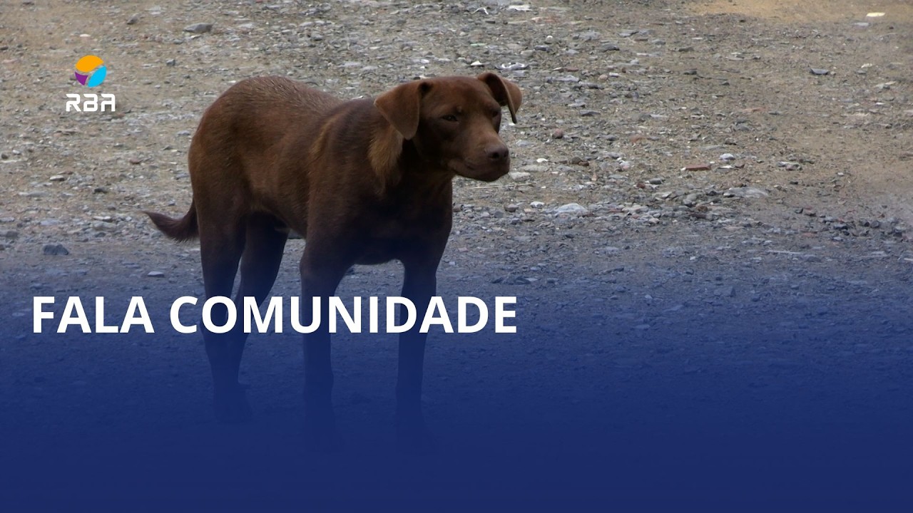 Moradores denunciam ataques de cães na Barra do Trombudo
