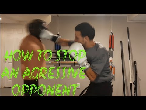STOPPING AN AGGRESSIVE OPPONENT HOW TO CENTURY BOB