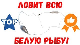 Самая уловистая донная снасть своими руками