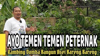 Download lagu Ayo Temen Temen Peternak Kambing Domba Bangun Aset Bareng Bareng mp3 Download lagu Ayo Temen Temen Peternak Kambing Domba Bangun Aset Bareng Bareng mp3