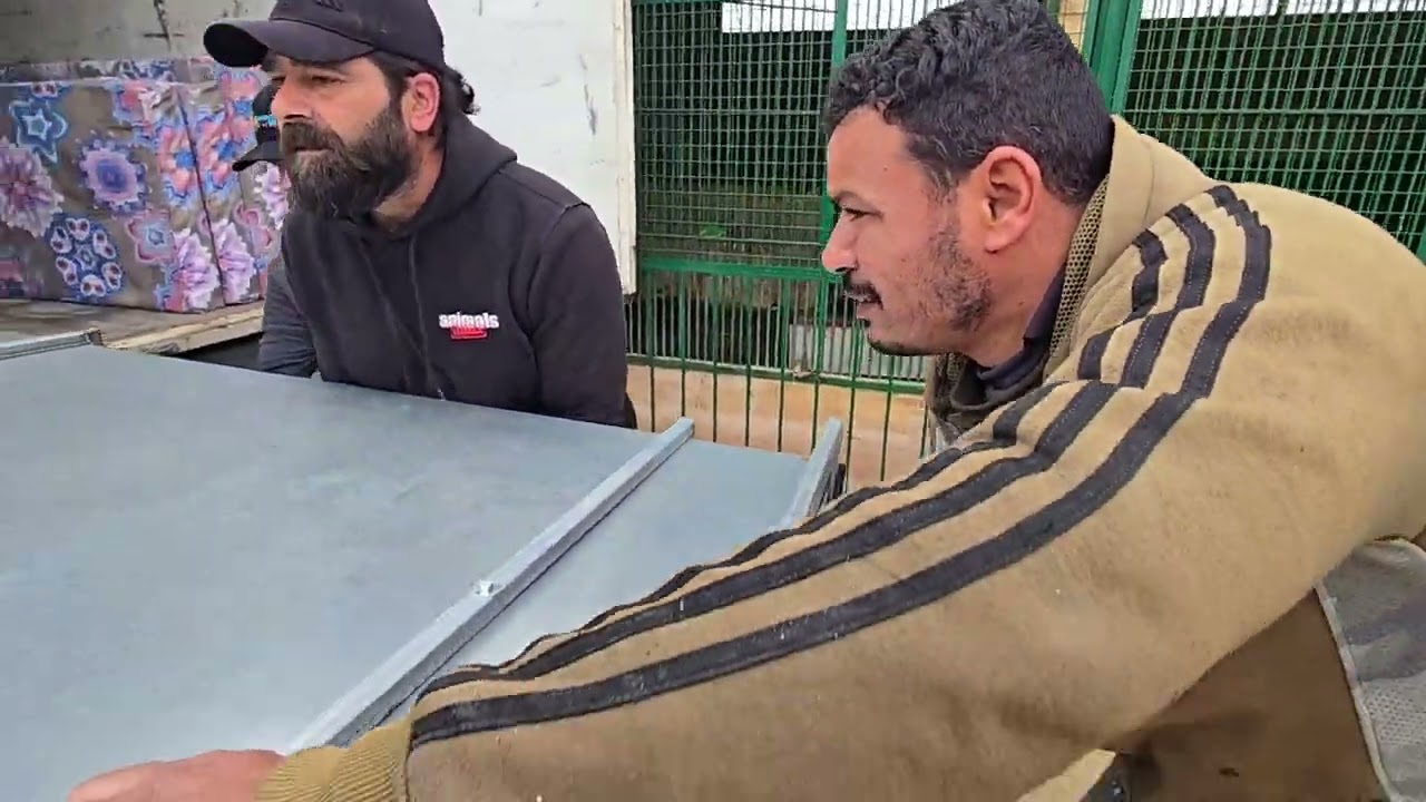 Preparing the Crates by nervous papa lion