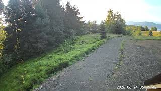 2026-06-24 caprioara