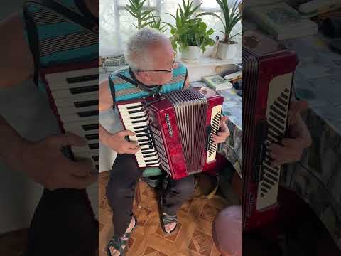 Weltmeister Stella piano accordion, 3/4 accordion, 80 Bass, 34 keys, 3 voices, 5+3 registers,ON SALE