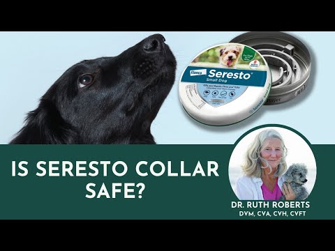 Is Seresto Collar Safe? | Flea Control & Finding Safe Products