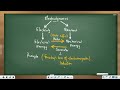Prelim Prep 2022 Electrodynamics