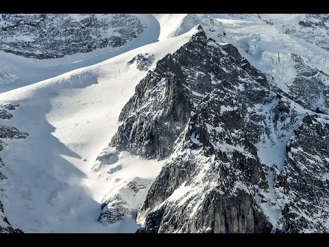 piqure de rapelle 2021