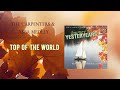 Carpenters Top Of The World Cover